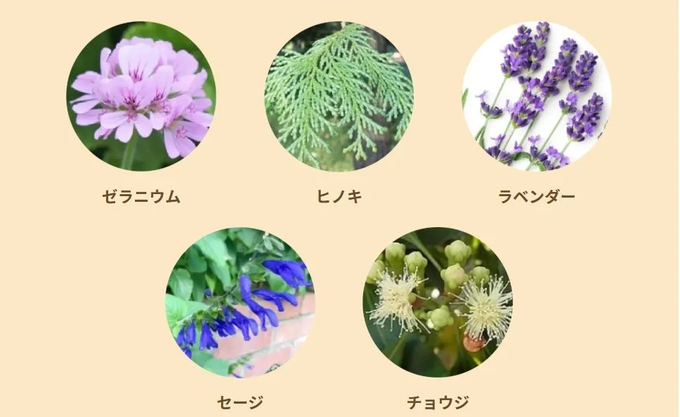 アロマブレンドの成分アイコン