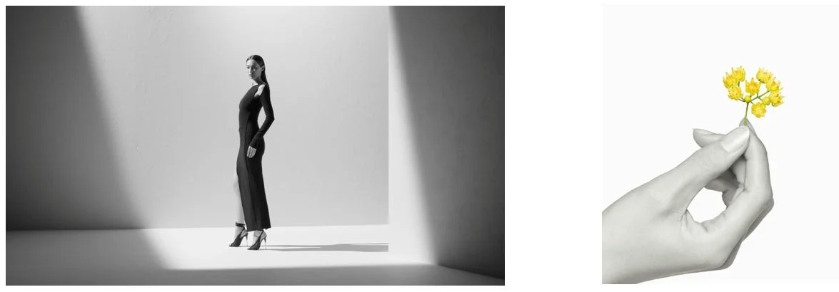 モノクロのスタジオで黒いドレスの女性と黄色の花