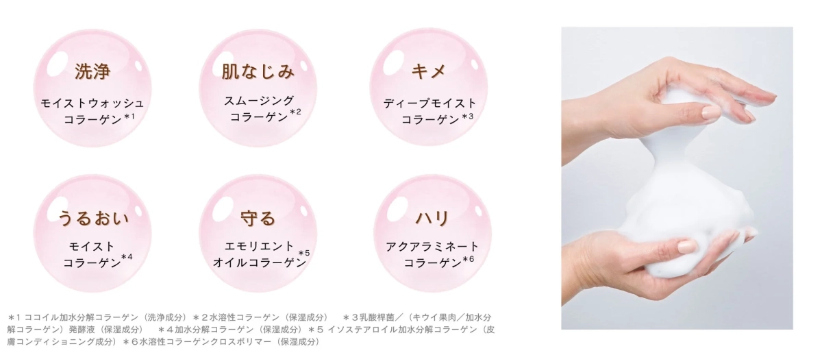 6種のコラーゲン成分説明