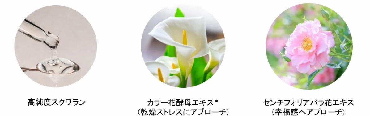 共通成分の紹介