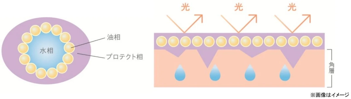 モイストプロテクターⅢの3相構造イメージ