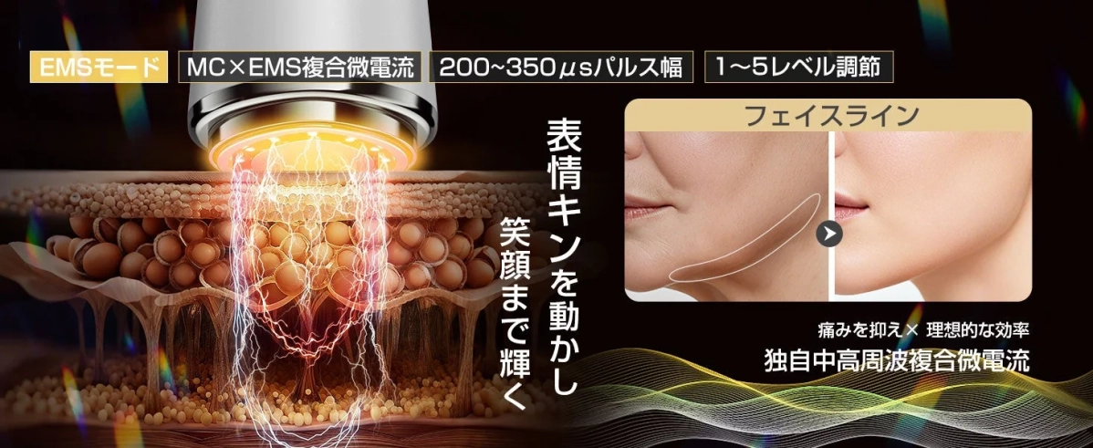 EMSモードの説明