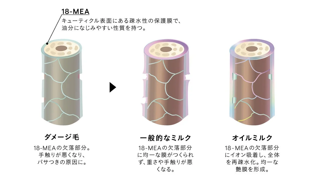 艶膜コーティングのメカニズム