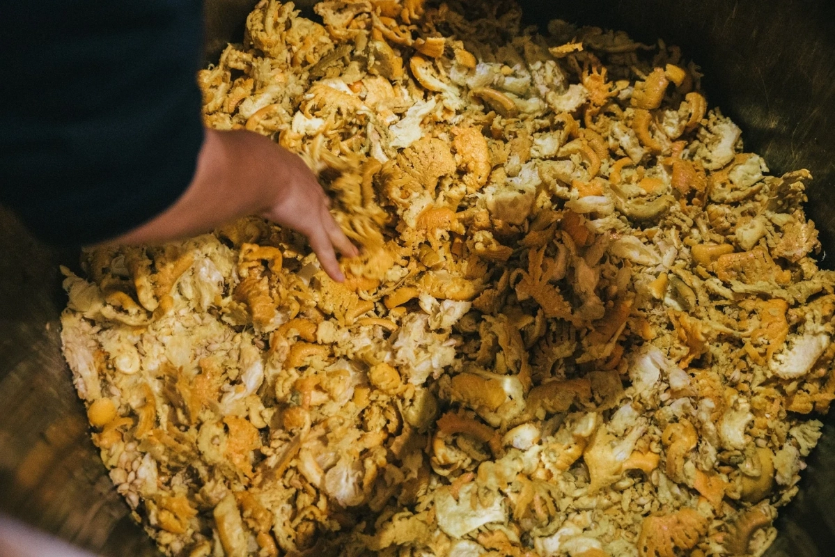 蒸留器に果皮を入れる様子