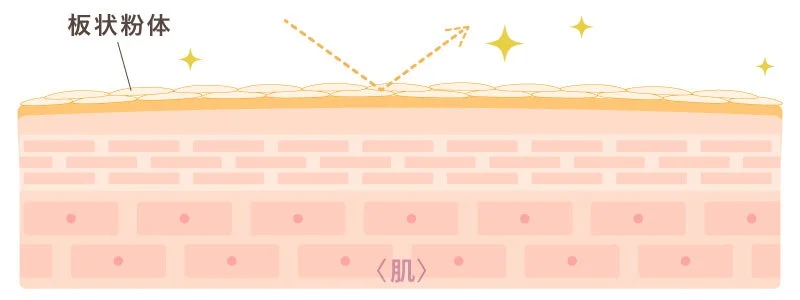 板状粉体が光を反射する様子