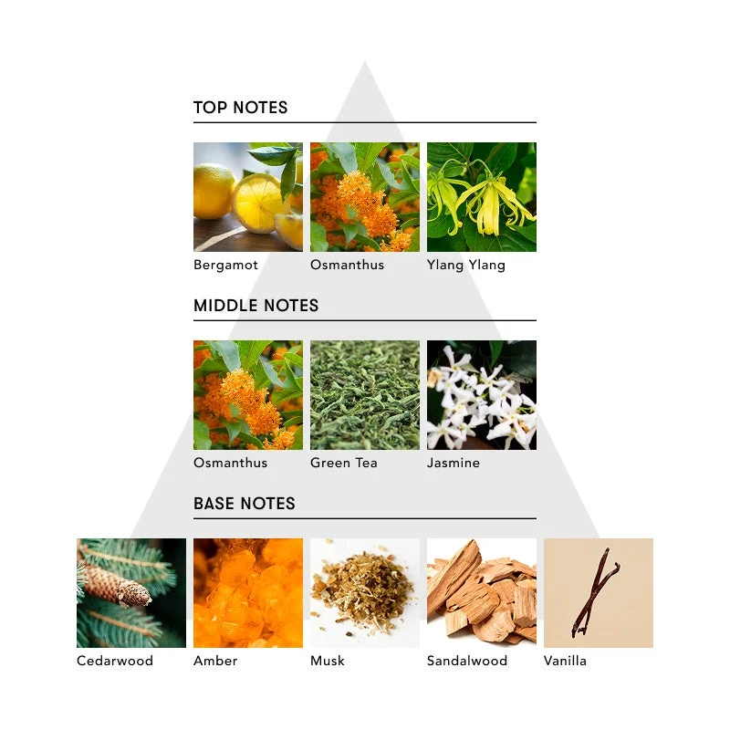 FACE OF MODESTY ノート