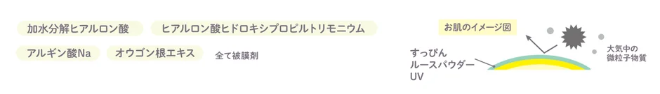 フィルター成分と大気中の微粒子物質のイメージ図