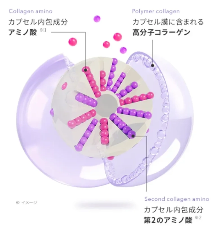 カプセル内包成分のイメージ