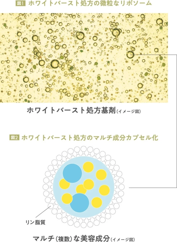 図1 ホワイトバースト処方の微粒なリポソームと図2 ホワイトバースト処方のマルチ成分カプセル化