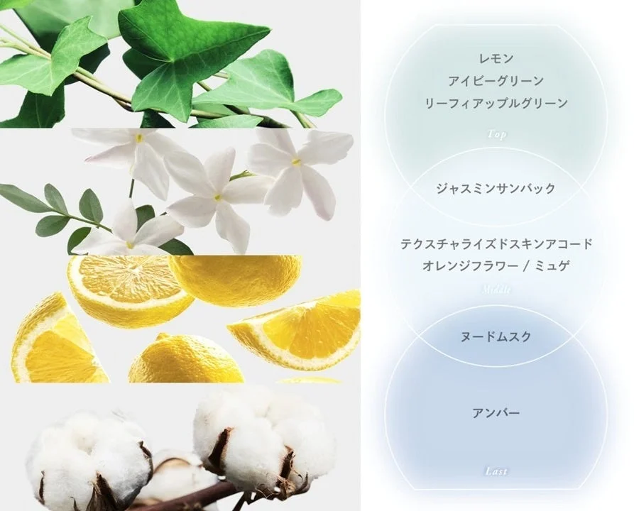 Clean Muskの香料成分