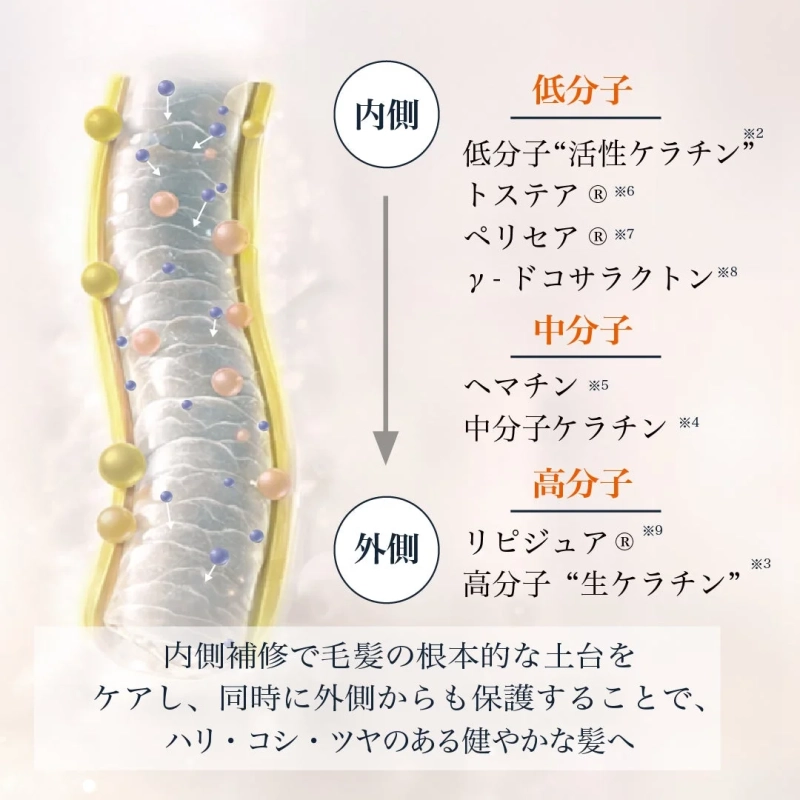 トリートメント作用図