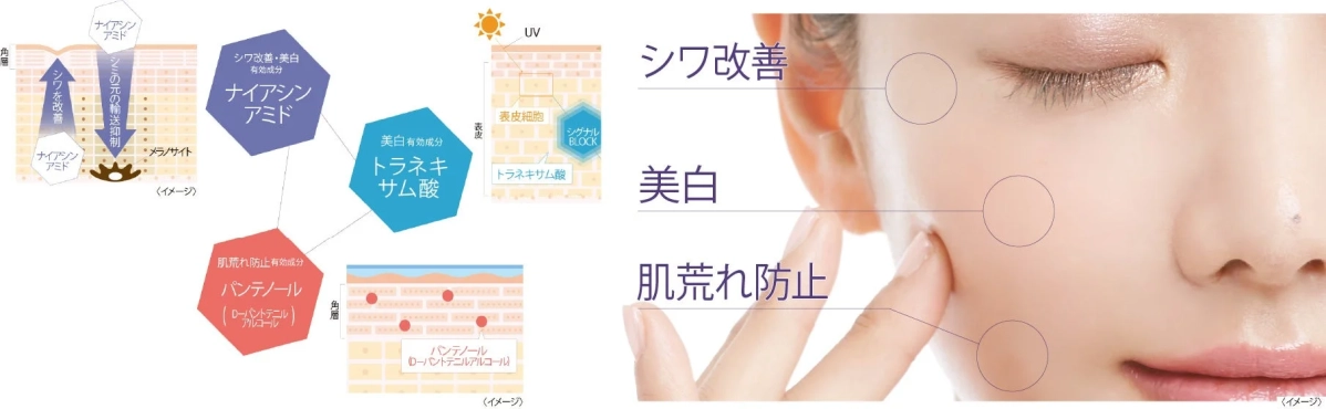 ナイアシンアミド、トラネキサム酸、パンテノールの有効成分