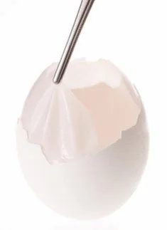 卵殻膜イメージ