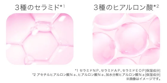 セラミド、ヒアルロン酸の成分紹介