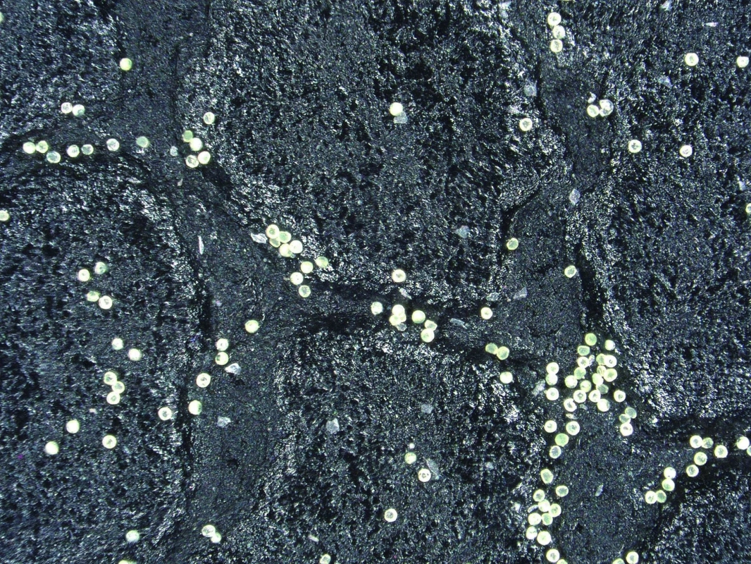 花粉のイメージ