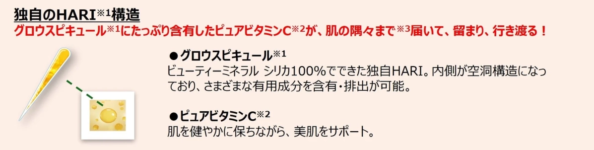 HARI構造の説明