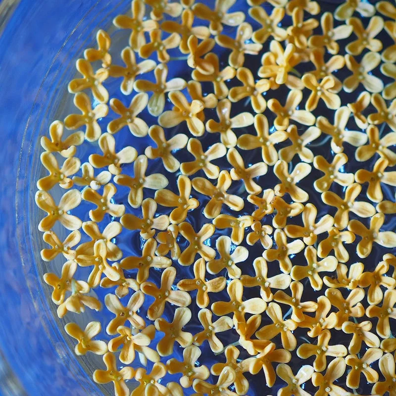 FACE OF MODESTY イメージ