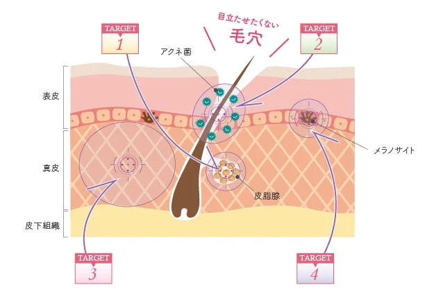 毛穴改善メカニズム