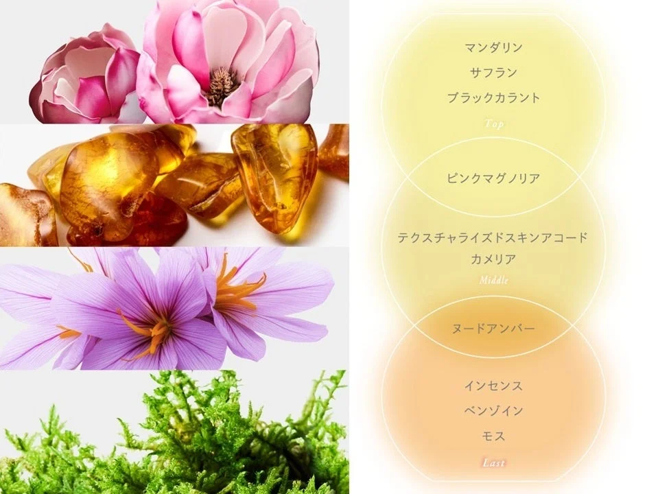 Mellow Amberの香料成分