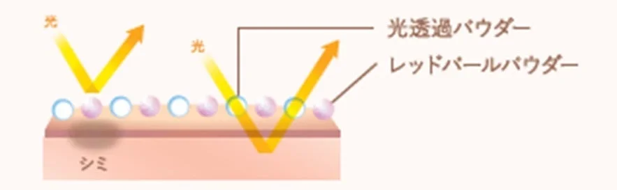 光透過パウダーとレッドパールパウダーによる肌カバーの図