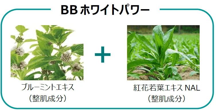 BBホワイトパワーの成分