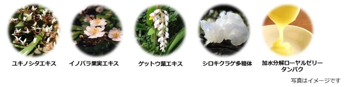 製品に配合されている成分のイメージ