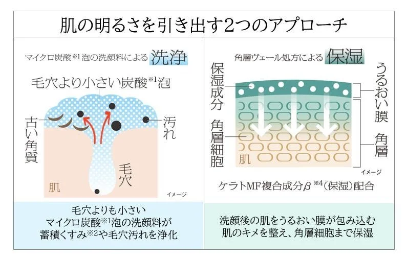 肌の明るさを引き出す2つのアプローチの図解