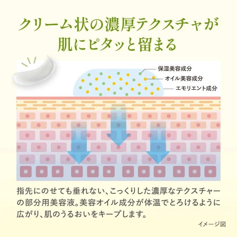 クリーム状の濃厚テクスチャが肌にピタッと留まる