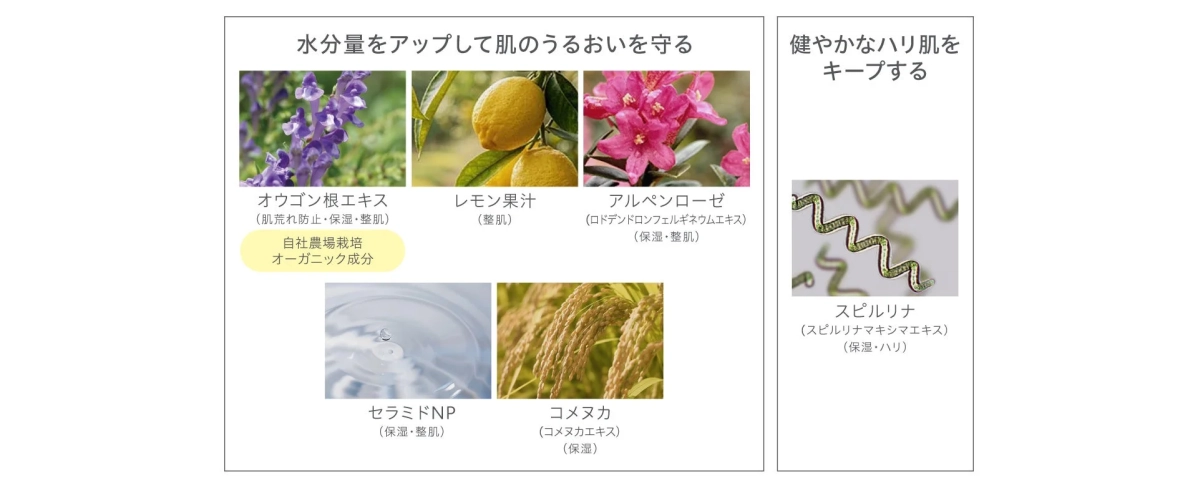 肌のうるおいを守る美容成分と健やかなハリ肌をキープする美容成分