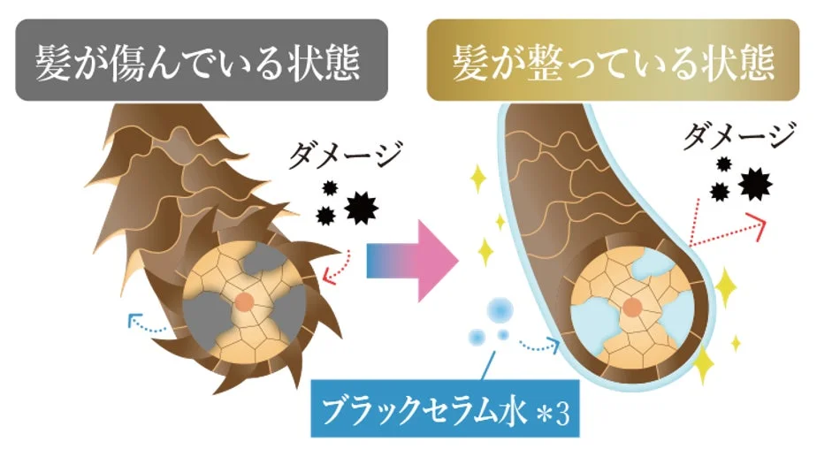 ブラックセラム水