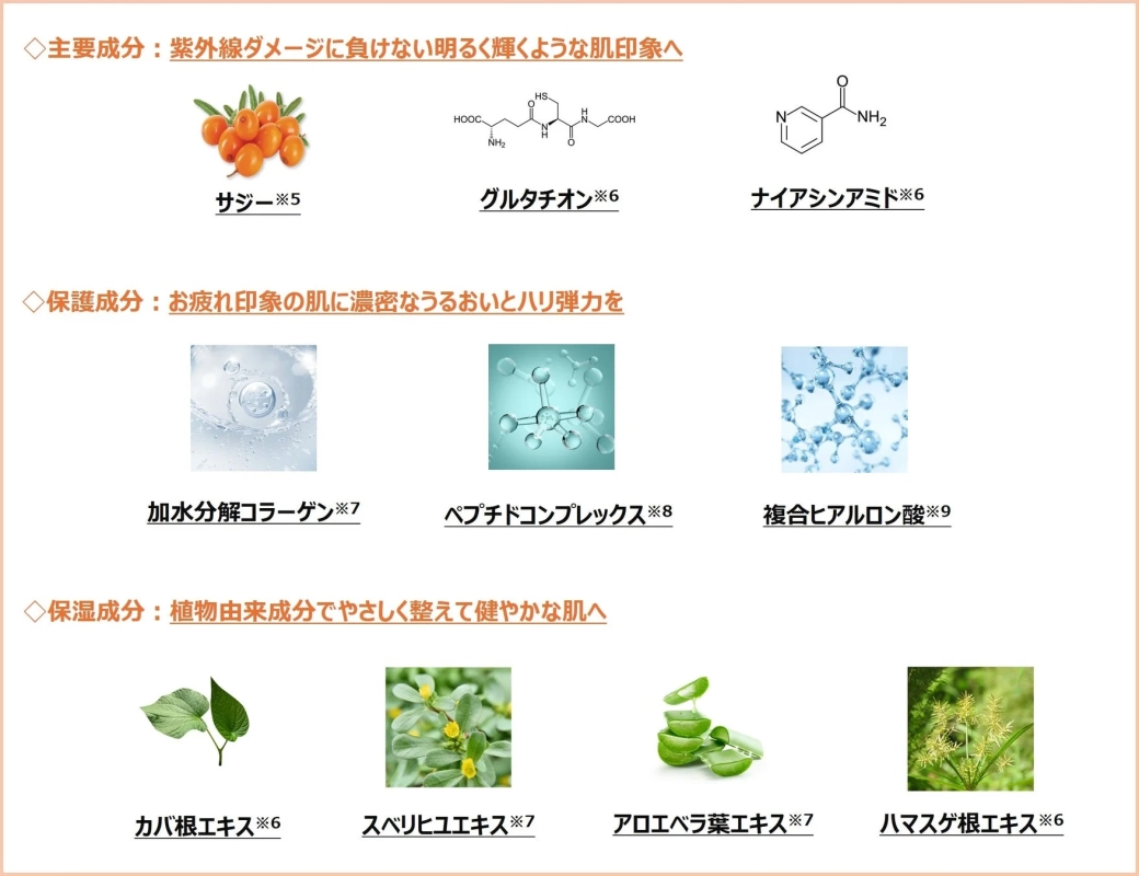 主要成分の説明