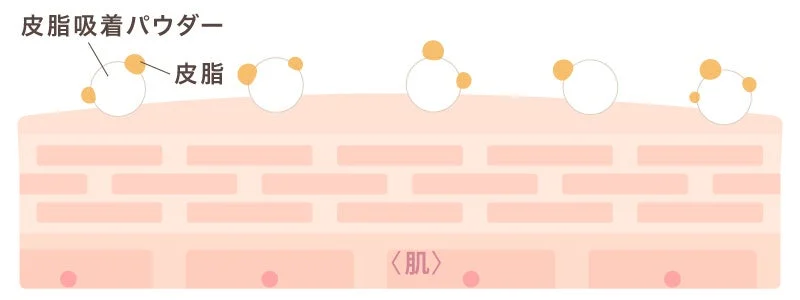 皮脂吸着パウダーの解説図