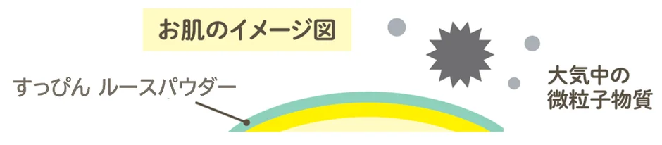 肌のイメージ図と大気中の微粒子物質