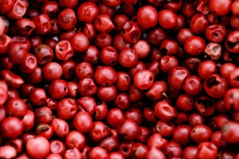 ピンクペッパー