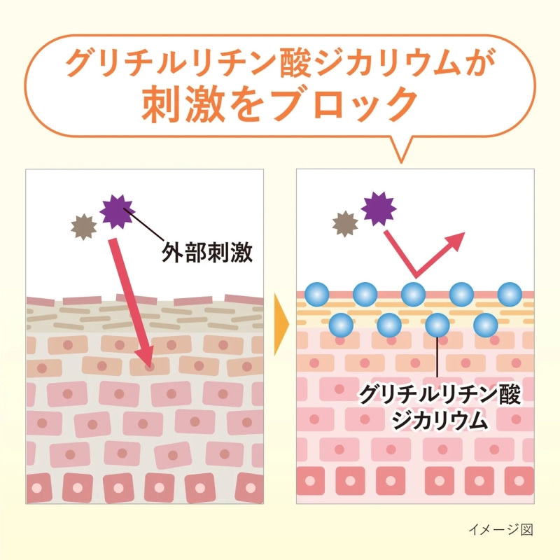 グリチルリチン酸ジカリウムが刺激をブロック