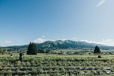 南阿蘇の広大な畑