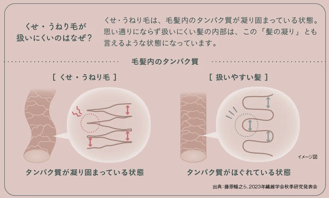 くせ・うねり毛が扱いにくいのはなぜ?
