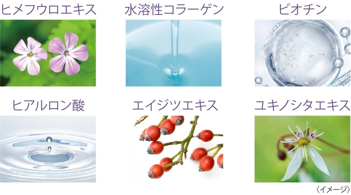 6種の保湿成分