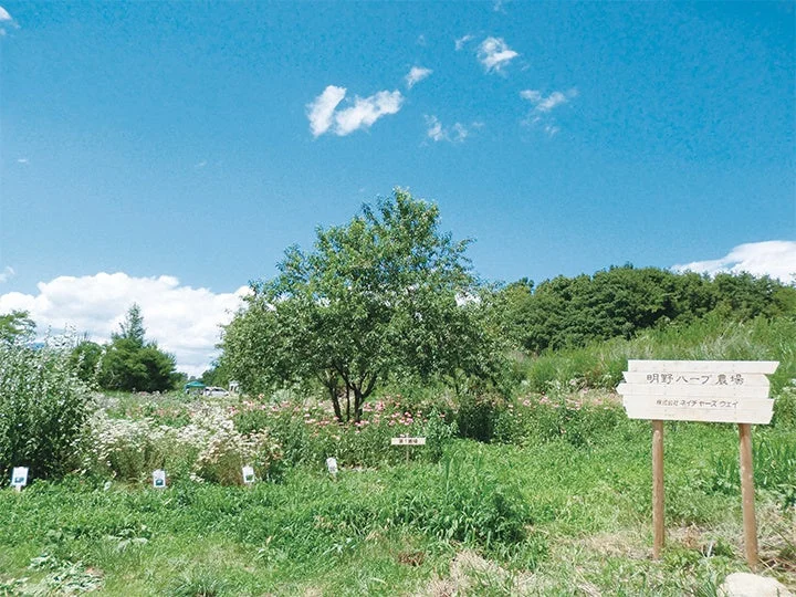 明野ハーブ農場