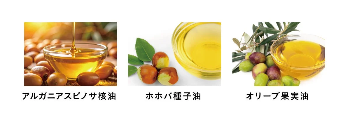 植物オイル成分