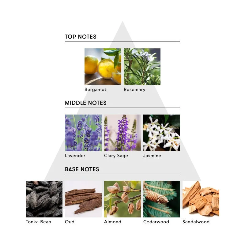 THE SECRET HISTORY ノート