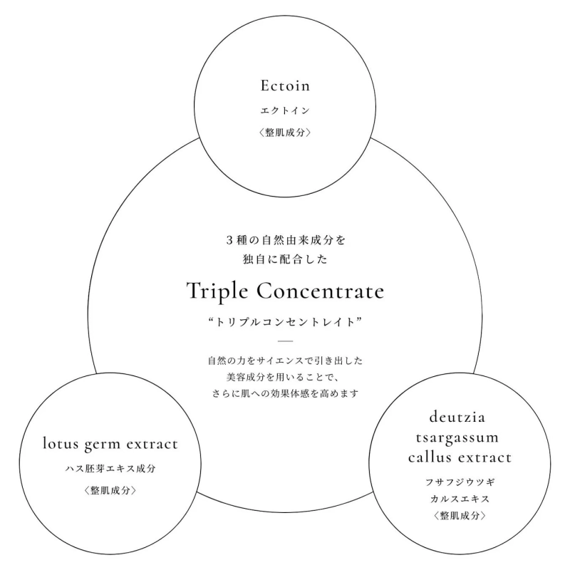 トリプルコンセントレイト説明図