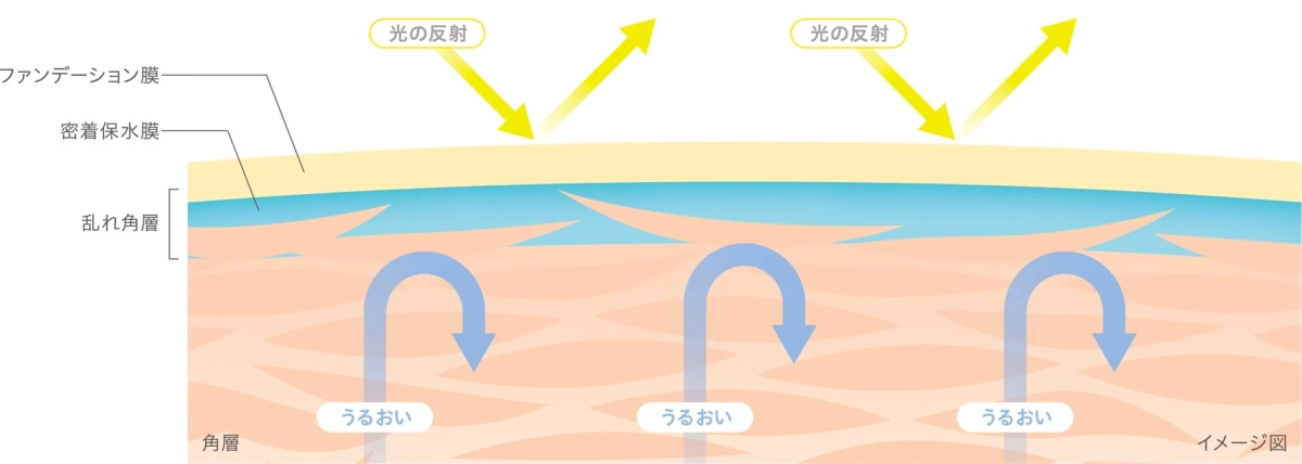 密着保水膜のイメージ図