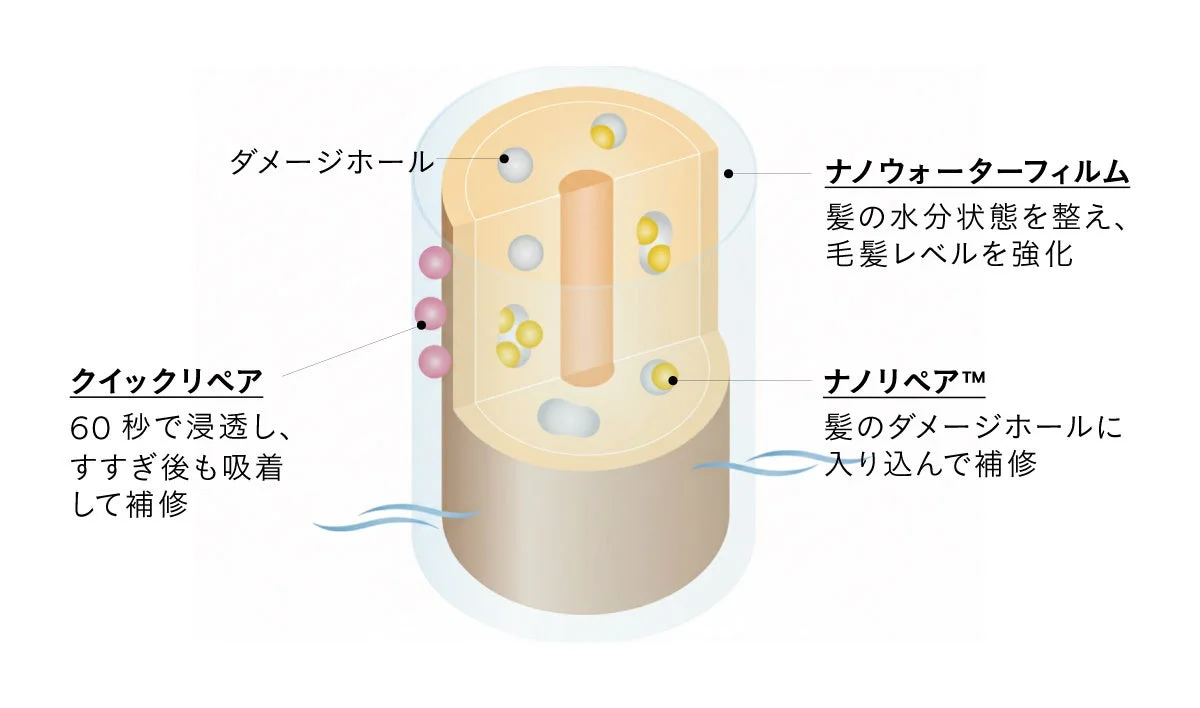 ダメージ補修のメカニズム