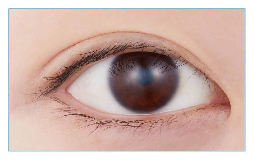 クリアカラーの目元