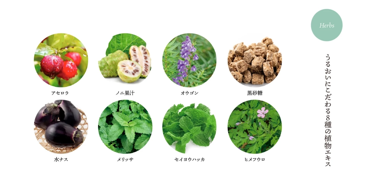 8種の植物エキスの紹介
