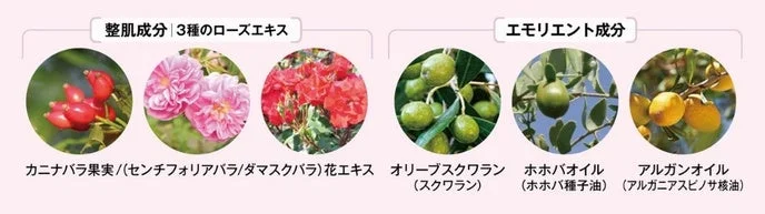 3種のローズエキスと植物由来オイルの成分
