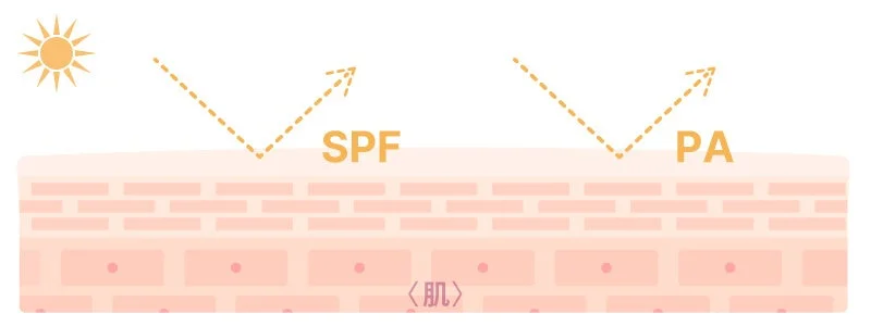 SPF PAによる紫外線防御の解説図