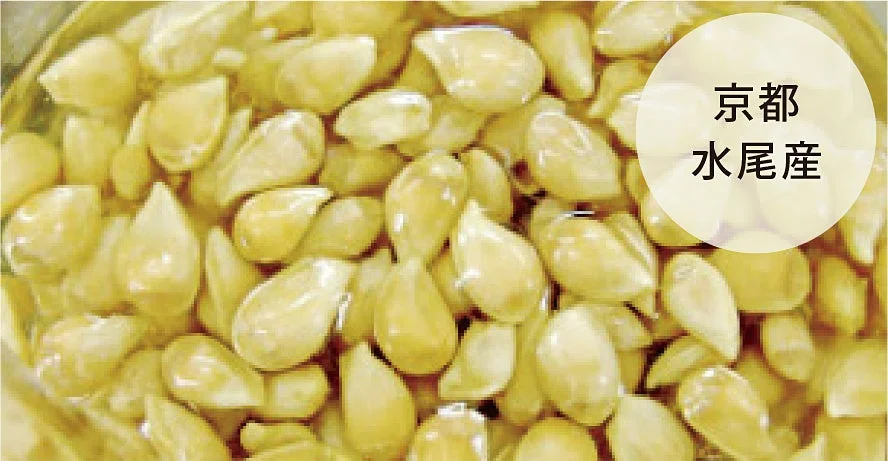 京都水尾産の柚子種子