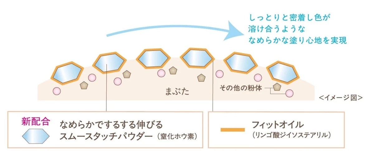 なめらかな塗り心地と密着感のメカニズム図